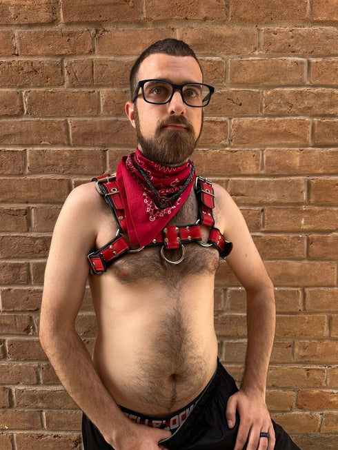 Stronghold Bulldog Harness